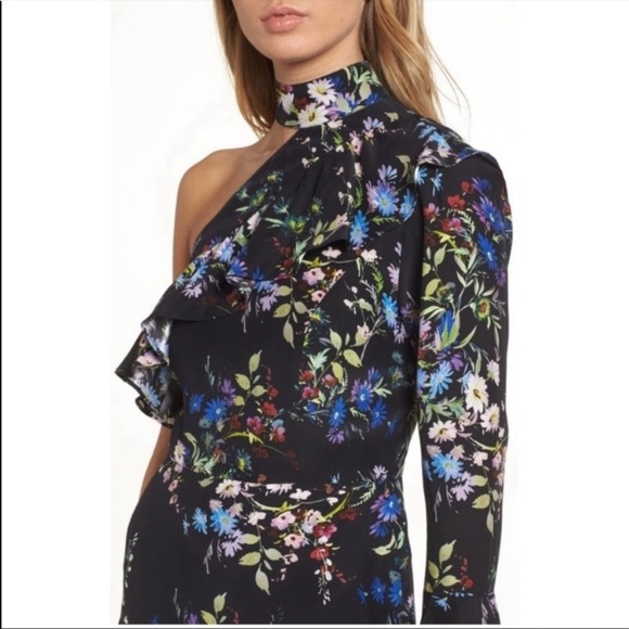Parker One Sleeve Silk Black Asymmetric Ruffle Dress 6 Dark Floral Flounce - Picture 2 of 12